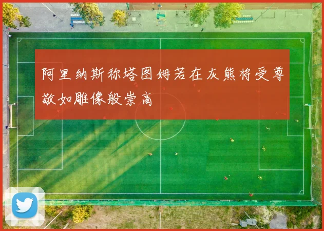 阿里纳斯称塔图姆若在灰熊将受尊敬如雕像般崇高